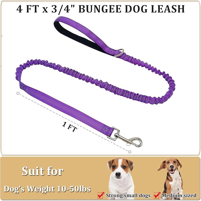 WYuZe 4-5.5 FT Bungee Dog Leash, Reflective Shock Absorbing Elastic Nylon Leash with Comfortable Handle, for Strong Puppy/Medium Dogs Anti-Pull Training Walking (Purple, 3/4"-Wide)