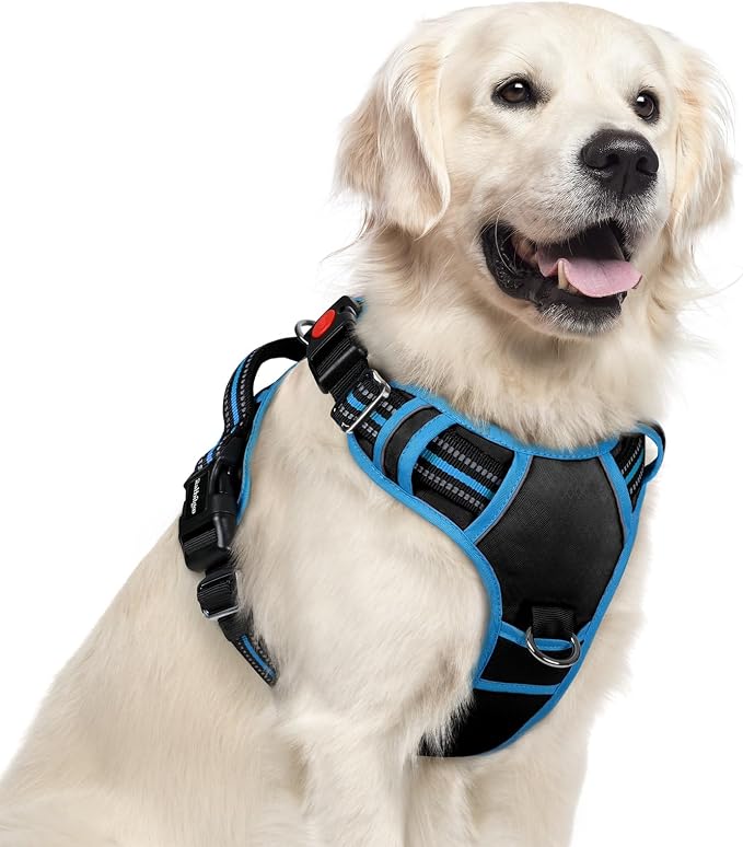 rabbitgoo Dog Harness for Large Dogs, 3 Buckles Easy On & Off No Pull Pet Vest, Soft Padded Walking Pet Harness with Control Handle, Adjustable and Reflective, Black & Sky Blue, XL