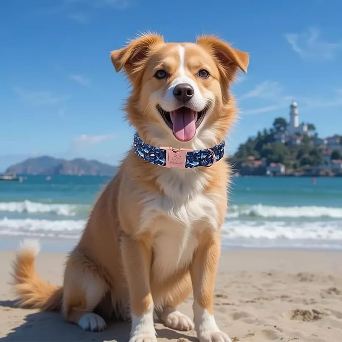 Summer Dog Collar, Cute Cartoon Sharks Dog Collars - Soft Adjustable Everyday Collars for Small Medium Large Dogs, Durable Metal Buckle Male Dogs Collar S