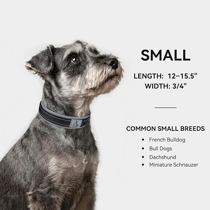Joytale Dog Collar for Small Dogs, Neoprene Padded and Adjustable, Reflective Wide Heavy Duty Pet Collars with Durable Metal Belt Buckle for Walking, Black, S