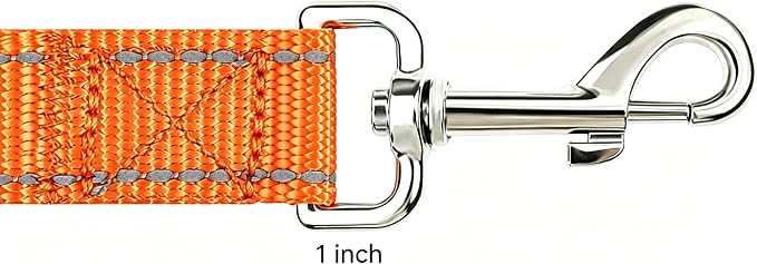 6 FT Reflective Dog Leash, Nylon Heavy Duty Leashes with Soft Padded Handle for Small Medium Large Dogs Walking, 1 Inch Wide Orange