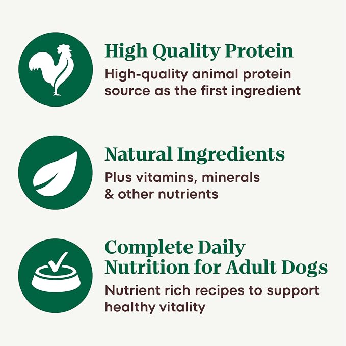Nutro Natural Choice Cuts in Gravy Wet Dog Food, Grain Free Dog Food Wet Lamb and Beef Recipes Variety Pack, 3.5 oz. Trays (12 Count, Pack of 2)