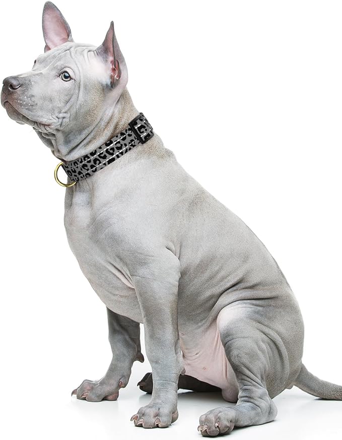 Reflective Dog Collar for Medium Dogs, Cute Leopard Style Adjustable Heavy-Duty Nylon Puppy Collar for Boy and Girl Female, Soft Pet Accessories with Quick Release Buckle, Gray