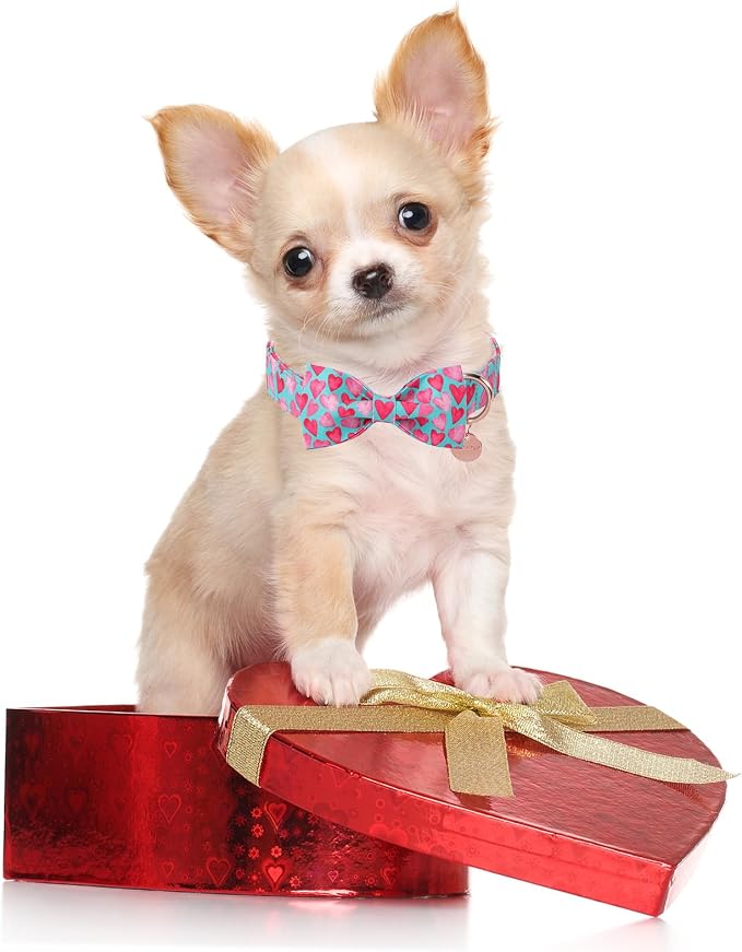 Valentine’s Day Dog Collar with Bow Tie, Pink Heart Bowtie Collar with Metal Buckle, Valentine’s Day Gift Pet Collar for Puppy Girl Boy Dog or Cat, Wedding Dog Collar, L, Neck 16-24in