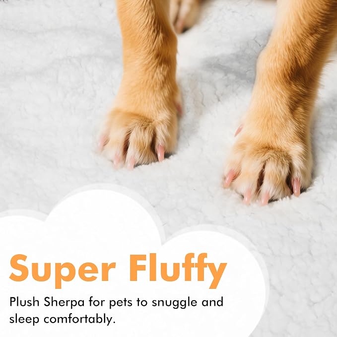 Kritter Planet Dog Blankets for Large Dogs, Soft Fluffy Fleece Pet Blankets for Couch, Sofa, Dog Beds, Car Seats, Creat, Washable, 50x60 inches, Beige