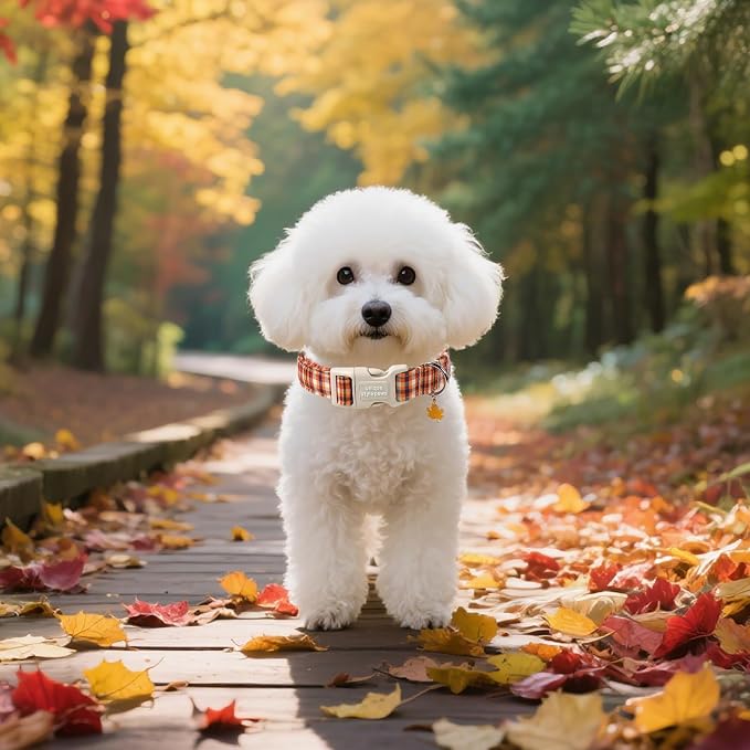 Unique style paws Dog Collar Plastic Buckle with Pendant Colorful Orange Grid Party Puppy Collars for Small Medium Large Boys Girls Dogs