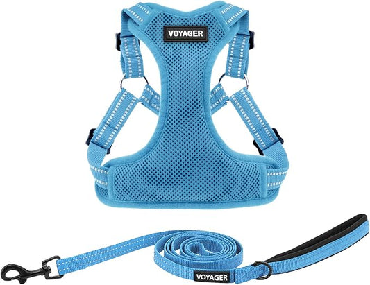 Best Pet Supplies Voyager Adjustable Step-in Flex Breathable Mesh Dog Harness for Small Medium Large Dogs Leash Set (Baby Blue), M