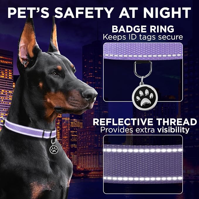 TECEUM Reflective Dog Collar – Lavender – XL – Extra Soft Padding – Basic Nylon Pet Collar – Quick Release Buckle – Fits Small, Medium and Large Dogs, Puppies, Cats – ESA & Service Dog Options