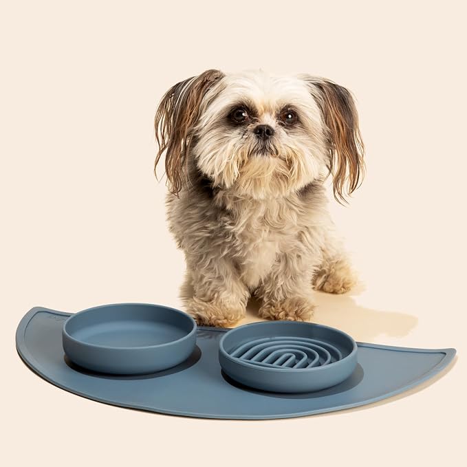 Should We Go? Slow Feeder Dog Bowls - Small Size Silicone Slow Eating Dog Bowl for Puppies & Dogs with Suction Cup -Dishwasher-Safe, Lick Mat Design, Reduces Gulping, for All Breeds, 6”x1.25”- Ocean
