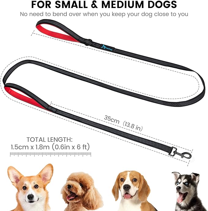 2 Pack Dog Leash for Small to Medium Dogs 6 ft with 3 Reflective Stitching and 2 Traffic Padded Handles Dog Lead/Rope, Pet Leash for Running Walking Training (6 ft x 0.6 in - Blue 2 Pack)