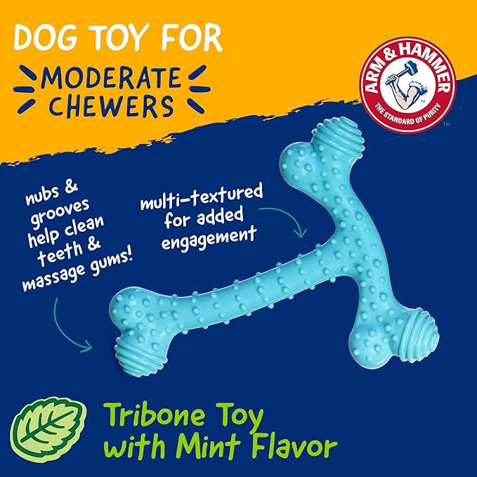 Arm and Hammer Nubbies T-Bone Dental Dog Chew Toy with Peanut Butter Flavor, TPR Nubs Clean Teeth and Gums, Durable Nylon Chew for Aggressive Chewers, Helps Reduce Plaque and Tartar
