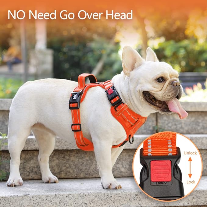 PoyPet No Pull Dog Harness, No Choke Reflective Dog Vest, Adjustable Pet Harnesses with Easy Control Padded Handle for Small Medium Large Dogs(Orange Matching Trim,M)