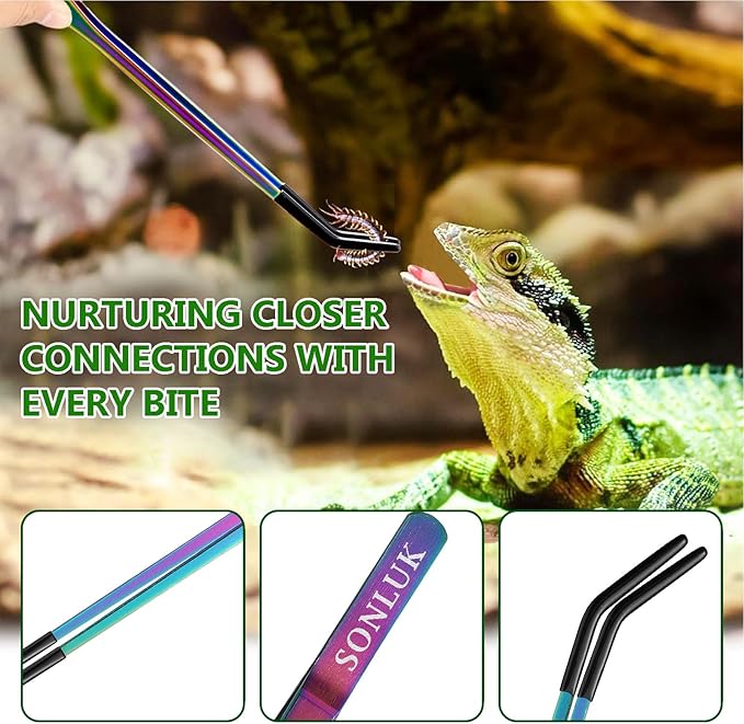 3 PACK Stainless Steel Reptile Feeding Tongs,10.62" Straight &Curved Long Feeding Tweezers&Bowl Set,Non Slip Feeding Tools with Rubber Tip,Bearded Dragon Tank Accessories (A-colorful)