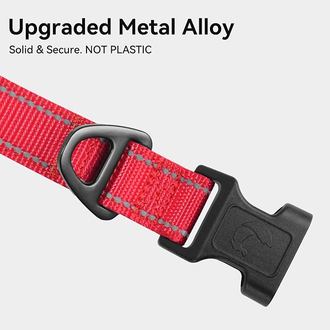 Joytale Reflective Dog Collar, Soft Neoprene Padded, Metal D-Ring, Nylon Pet Collar Adjustable for Small Dogs, Red, S