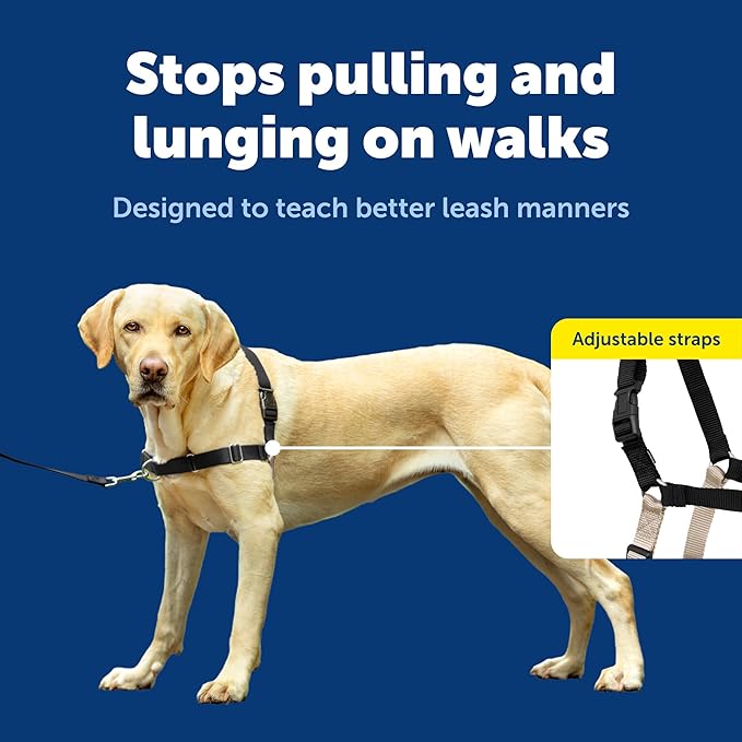 PetSafe Easy Walk No-Pull Dog Harness - Ultimate Harness to Help Stop Pulling - Pull-Free Walks - Take Control & Teach Better Leash Manners - Patented Martingale Loop Design - Black, Large