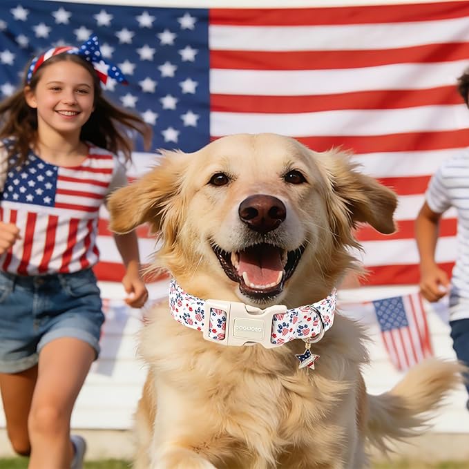 DOGWONG 4th of July Dog Collar for Medium Dogs, Patriotic American Flag Dog Collar for Small Medium Dogs, Neck 14-21 inches
