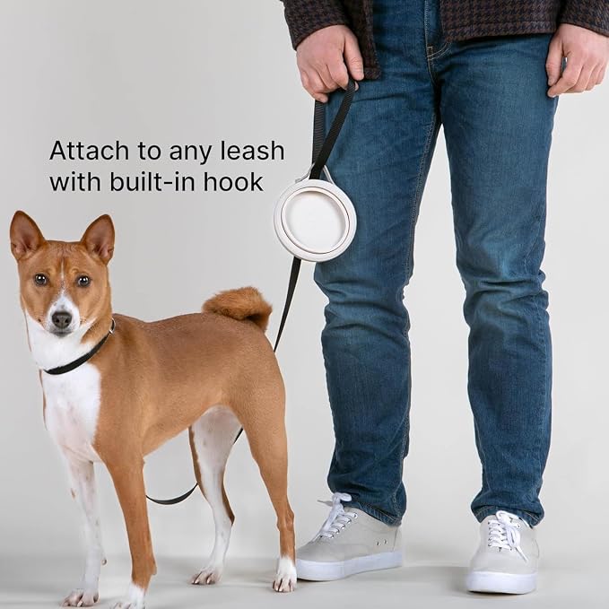 Cleverpup Nomad Small Collapsible Travel Dog Bowl - 2 Cup BPA-Free Silicone for Small & Medium Dogs, Portable, Sturdy, Food & Water, Dishwasher Safe - Sand Silicone