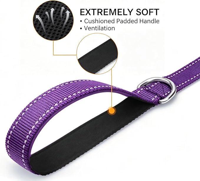 6 FT Reflective Dog Leash, Nylon Heavy Duty Leashes with Soft Padded Handle for Small Medium Large Dogs Walking, 1 Inch Wide Purple