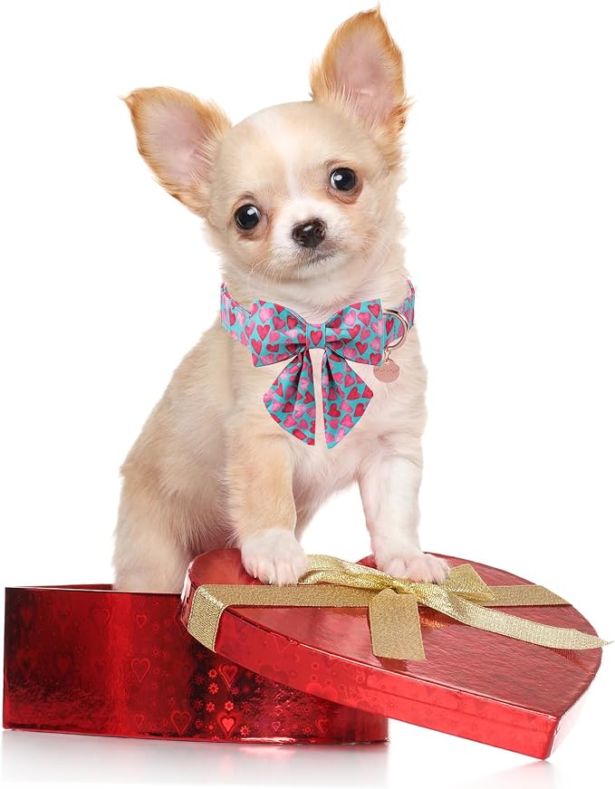 Valentine’s Day Dog Collar with Bow Tie, Pink Heart Bowtie Collar with Metal Buckle, Valentine’s Day Gift Pet Collar for Puppy Girl Boy Dog or Cat, Wedding Dog Collar, L, Neck 16-24in