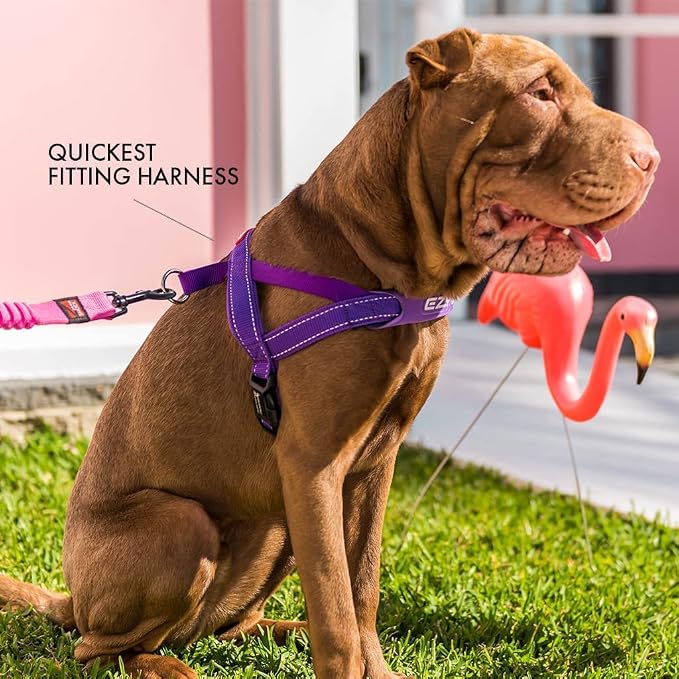 EzyDog Quick Fit Dog Harness – No Pull Harness for Training, Everyday Walking, and Easy Control - Adjustable Fit, Reflective, and Padded (XX-Small, Pink Camo)
