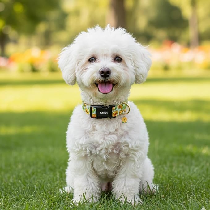 Dog Collar for Extra Small Dogs, Spring &Summer Theme Dog Collars with Sunflower Pattern, Adjustable Green Small Dog Collars, Cute Girl or Boy Dog Collar Ideal for Gifts,Pet Accessory,XS