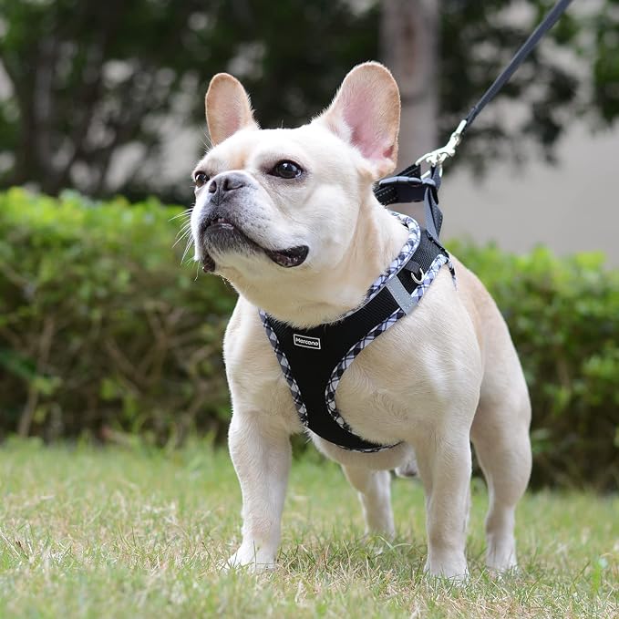 Mercano Soft Mesh Dog Harness and Leash Set, Step-in Reflective Breathable Lightweight Vest Harnesses with Safety Buckle for Small Dogs, Cats (Black White, S)