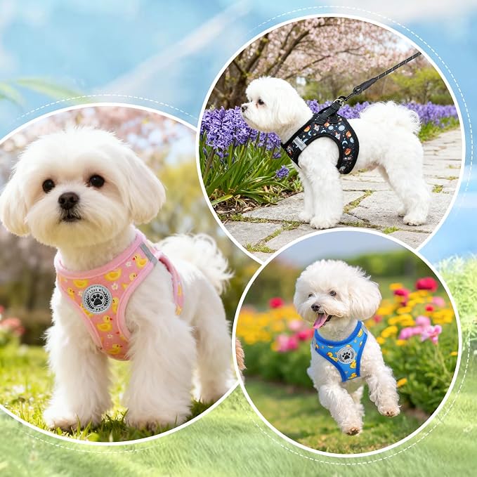 BEAUTYZOO Dog Harness Small Sized and Leash Set, Step-in Soft Padded Mesh Puppy Vest, Reflective Dog Harness No Pull No Choke, Breathable Easy Walking Vest Harnesses for Girl Boy Pets, Black Planet XS