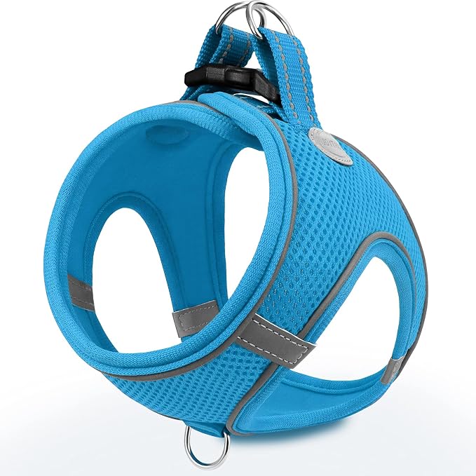 Joytale Small Dog Harness, Breathable Mesh Step-in Vest, Reflective Soft Padded Harnesses for Cats and Puppies Dogs, Sky Blue, XXXS