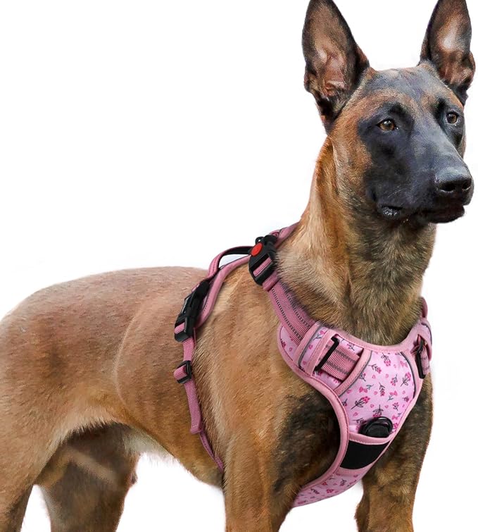 rabbitgoo Dog Harness for Large, No Pull Easy On & Off with 3 Buckles Pet Harness, Adjustable Soft Walking Vest with 2 Clips and Handle, Reflective for Extra Large Dogs, Floral Pink, XL
