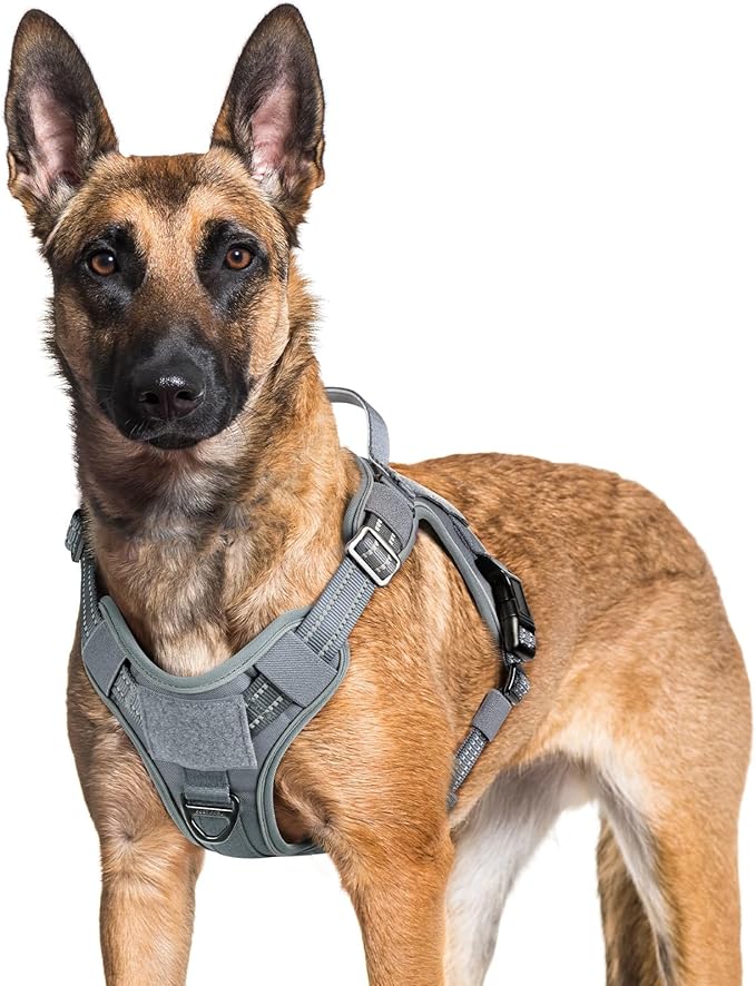 rabbitgoo Tactical Dog Harness for Large Dogs No Pull Adjustable Military Vest with Handle MOLLE Reflective Heavy Duty Dog Vest for Walking Training Hunting Outdoor Working Medium Size Dog Grey XL