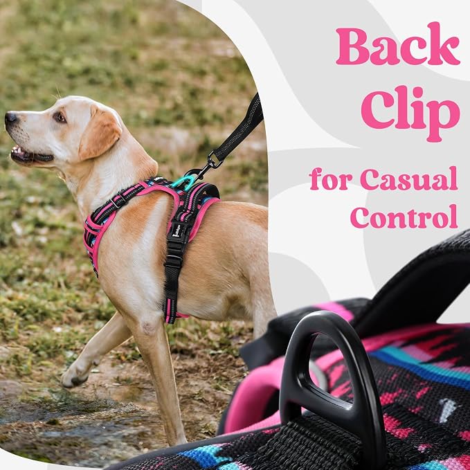 rabbitgoo Dog Harness Small Sized, No Pull Easy On & Off with 3 Buckles Pet Harness, Adjustable Soft Walking Vest with 2 Clips and Handle, Reflective for Small Dogs, Mountain Rose, S