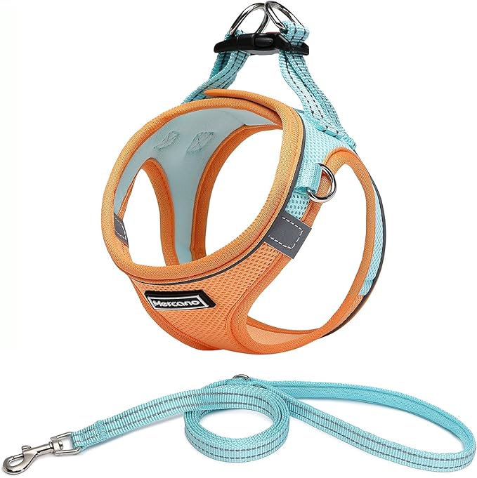 Mercano Soft Mesh Dog Harness and Leash Set, Step-in Reflective Breathable Lightweight Vest Harnesses with Safety Buckle for Small Dogs, Cats (M, Orange Blue)