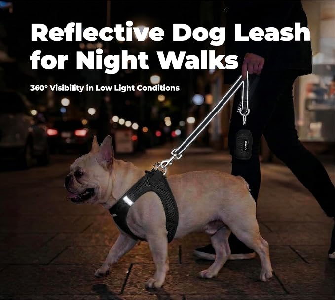Best Pet Supplies Voyager Reflective Dog Leash or Collar with Neoprene Handle, for Small, Medium, and Large Breed Puppies, Cute and Heavy Duty for Walking, Running and Training - Black (Leash), S