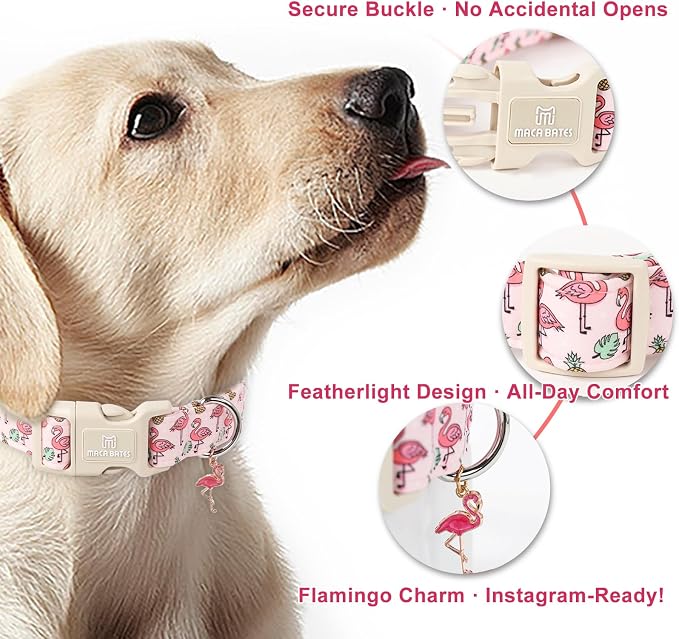 Maca Bates Cute Pink Flamingo Dog Collar Summer Puppy Collars for Extra Small Girl Boy Dogs,Spring and Summer Styles,Durable,Soft,Thick,Adjustable for Female Male Pet with White Safety Buckle