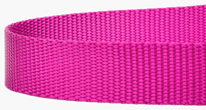 Country Brook Petz - Everyday Nylon Dog Leash - Strong, Durable, Solid Color Leash with Easy to Use Snap - 25+ Colors (1 Inch Wide, 6 Foot, Fuchsia)