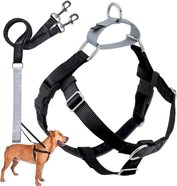 2 Hounds Design Freedom No Pull Dog Harness, Adjustable Harness and Leash Set, Easy Walking & Comfortable Control, Fits Small, Medium & Large Dogs, Solid Colors, Made in USA, 1" MD, Black