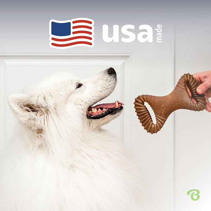 Benebone Dental Durable Dog Chew Toy for Aggressive Chewers, Real Bacon, Made in USA, Medium