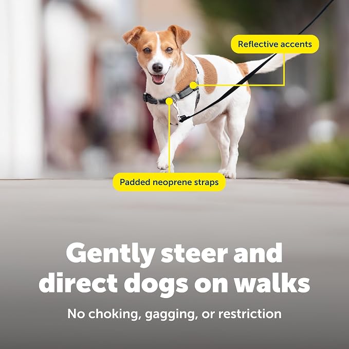 PetSafe Easy Walk Deluxe Dog Harness, No Pull Dog Harness Perfect for Leash & Harness Training Stops Pets from Pulling and Choking on Walks Small, Apple
