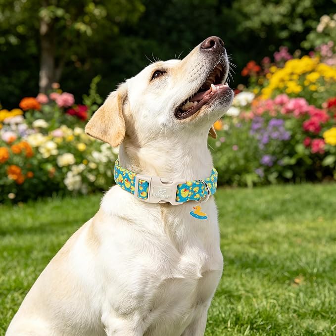 Cute Dog Collar Rubber Duck Girl Boy Dog Collars for Large Dogs - Lightweight Adjustable Male Female Summer Puppy Everyday Collar with Safety Buckle L