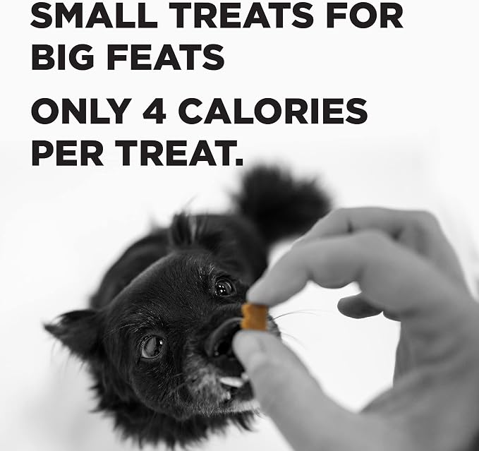 BIXBI Liberty Trainers, Bacon (6 oz, 1 Pouch) - Small Training Treats for Dogs - Low Calorie and Grain Free Dog Treats, Flavorful Pocket Size Healthy and All Natural Dog Treats