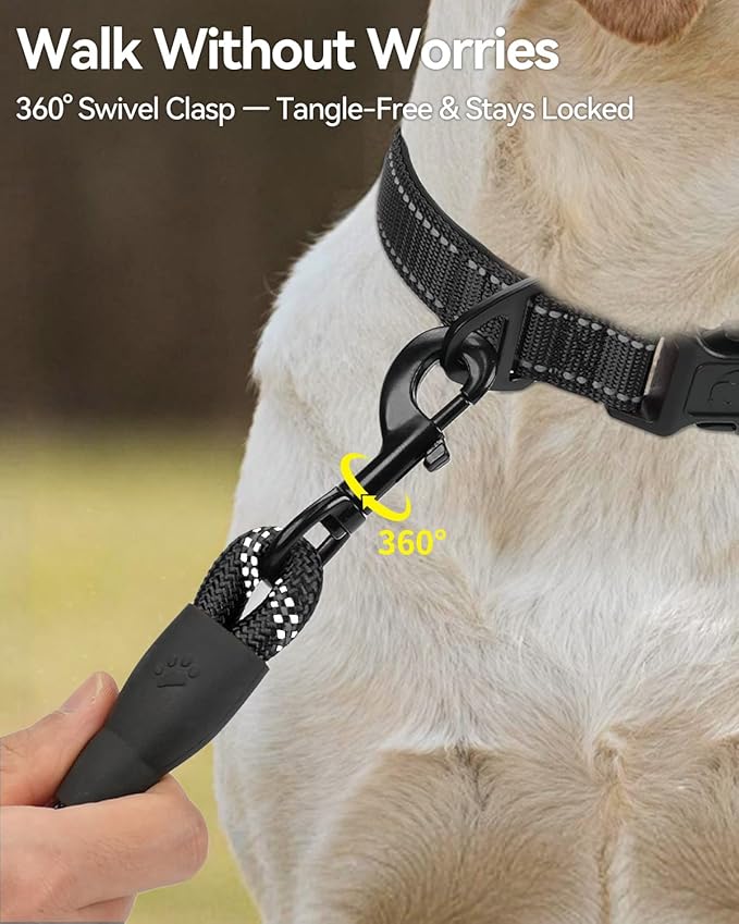 Joytale Dog Leash for Small Dogs, Heavy Duty Nylon Leashes with Comfortable Padded Handle and Highly Reflective Threads, Ideal for Walking and Training, Black, 6'×3/8''