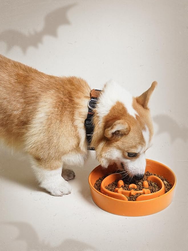 LE TAUCI Ceramic Slow Feeder Dog Bowl for Small Medium Dogs & Puppy, 1.5 Cup Puzzle Food Dish to Slow Down Eating, Pumpkin Orange