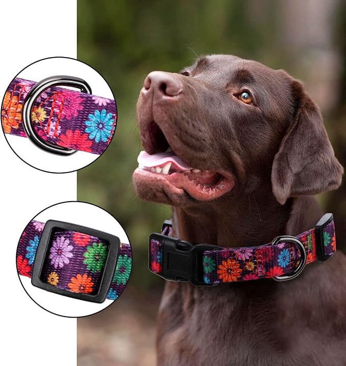 Girl Dog Collars Fall Daisy Pattern, Colorful Flowers Print, Female Collar, Dark Purple, Medium