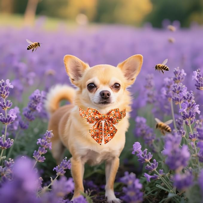Unique style paws Cartoon Dog Collar with Bowtie Autumn Halloween Puppy Collar with Bee Daisy for Small Medium Large Boys Girls Dogs