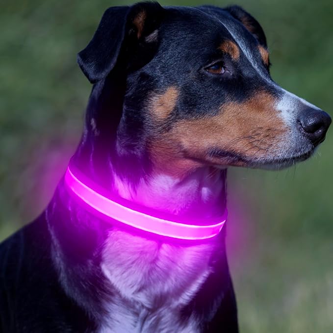 VIZPET LED Dog Collar, Light Up Dog Collar Adjustable USB Rechargeable Super Bright Safety Light Glowing Collars for Dogs (Purple, Small[11.02-15.74 inch/28-40cm])
