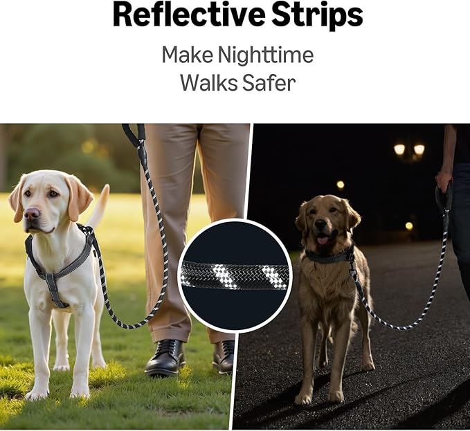 Amazon Basics Round Dog Leash, Heavy Duty, Durable Rope for Small, Medium, and Large Dogs, Lightweight Design for Walking, Training, and Outdoor Activities, Black, 6 Ft