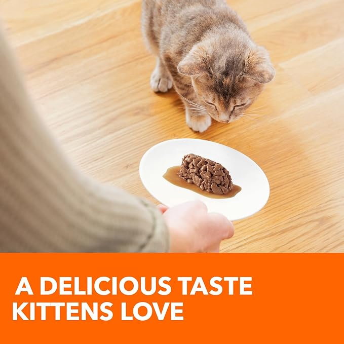IAMS Perfect Portions Healthy Kitten Grain Free Wet Cat Food, Cat Food Wet Cuts in Gravy Chicken Recipe, (24) 2.6 oz. Twin-Pack Trays