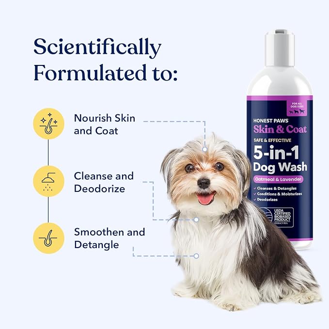 Honest Paws Dog Shampoo and Conditioner - Premium Dog Wash for Allergies and Dry, Itchy, Moisturizing for Sensitive Skin - Sulfate Free, Plant Based, All Natural - Oatmeal & Lavender - 16 Fl Oz