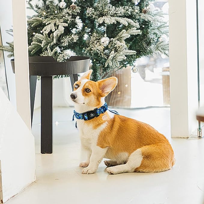 Elegant little tail Dog Collar-Cute Pet Dog Collar Blueberry Print Cotton Soft Boy Puppy Adjustable Pet Collars for Small Medium Large Dogs, Medium