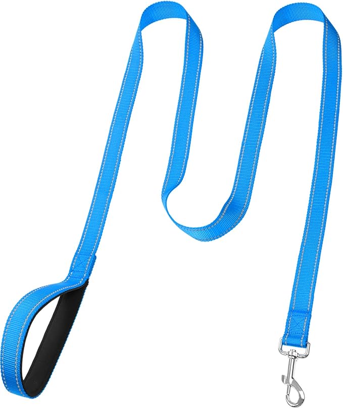 FunTags 6FT Sky Blue Reflective Dog Leash for Large & Medium Dogs Walking, Soft Padded Handle Comfortable Grip, Heavy Duty Nylon, Reflective for Night Walking, 1in Wide